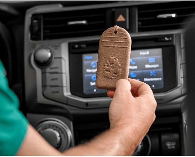 California Scents Hanging 3D Paper: Natural, Environmentally Friendly Car Freshener with Recycled Materials and Strong Odor Eliminator for Automotive Air Freshening (Breezy Pine, 1 Pack)