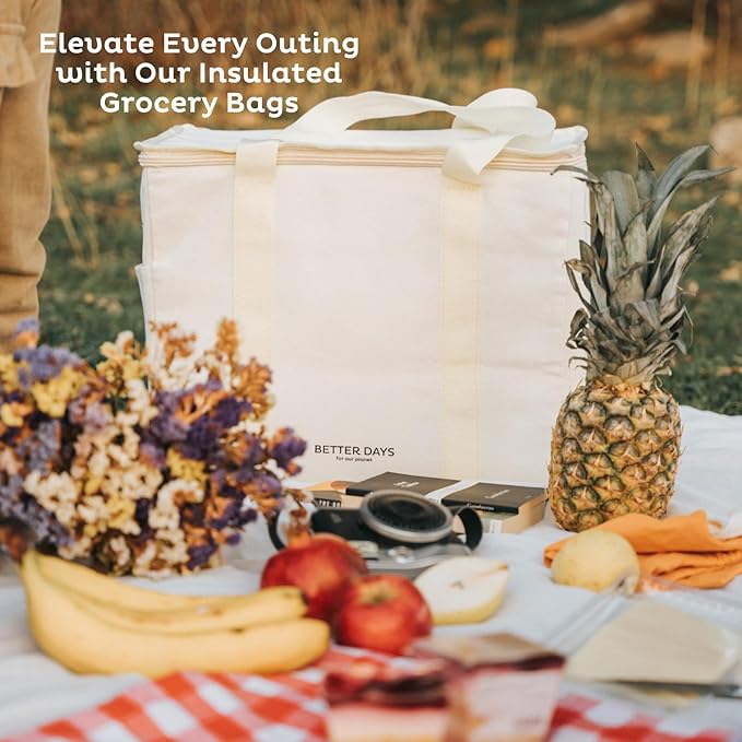 Nook Theory Reusable Insulated Grocery Bag - Leak Proof, X Large Cooler Bag - Insulated Shopping Bags for Groceries - Travel Cooler Bag for Frozen and Hot Food with Zippered Top (Caramel Cream)