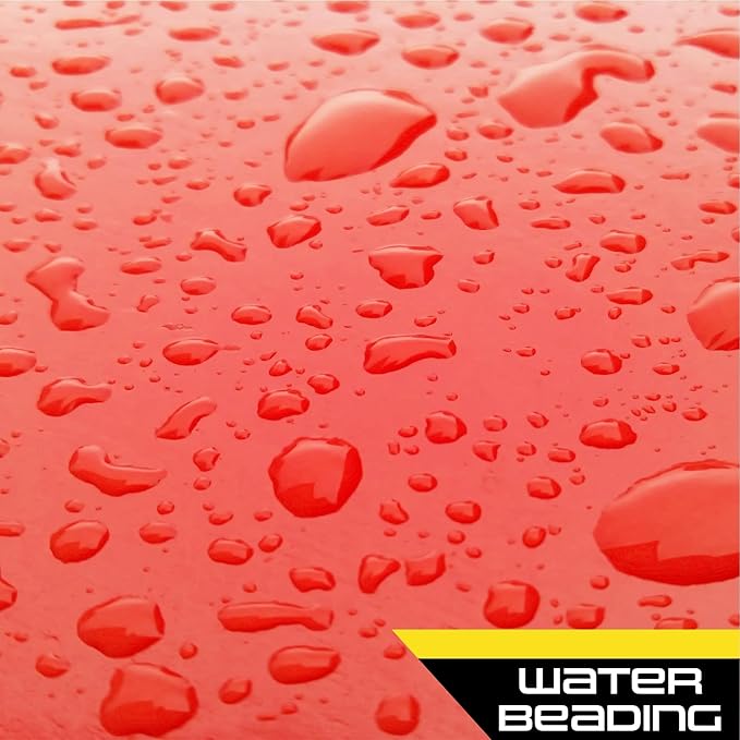 Formula 1 Car Wash and Carnauba Wax, 2-in-1 Car Cleaning Soap for Auto Detailing, Removes Tough Dirt and Leaves a Brilliant Shine (16 ounces)