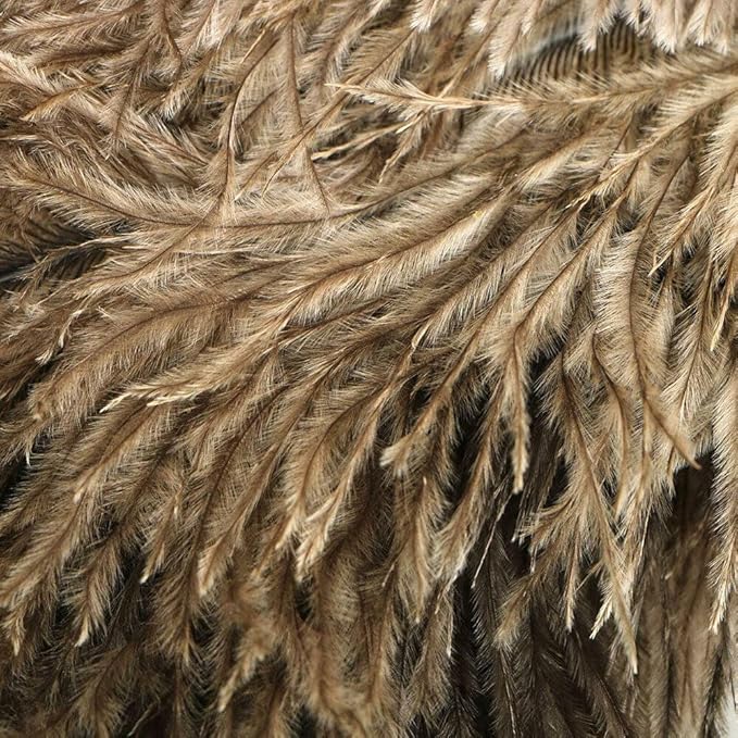 2PACKS 13" Ostrich Feather Duster Durable Dust Collecting Cleaning Tool in Wool Shop