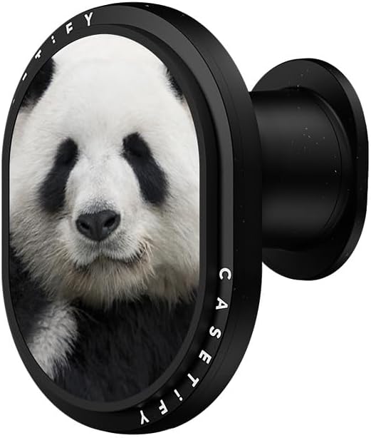 CASTETiFY Wireless Car Charger