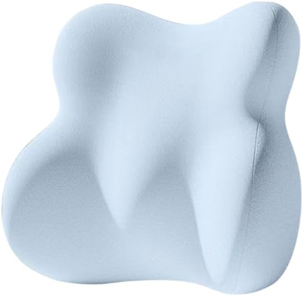 NIRA Memory Foam Lumbar Support Pillow, Back Cushion for Office Chair and Car, Gray (Blue)