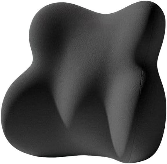 NIRA Memory Foam Lumbar Support Pillow, Back Cushion for Office Chair and Car, Gray (Black)