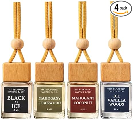 4 Pack Air fresheners | Long lasting car air fresheners, Hand-made in USA | Small room diffuser | Small Business Woman Owned. (Fresh & Earthy Mix SQ)