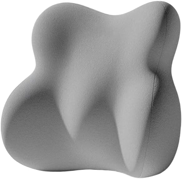 NIRA Memory Foam Lumbar Support Pillow, Back Cushion for Office Chair and Car, Gray (Grey)