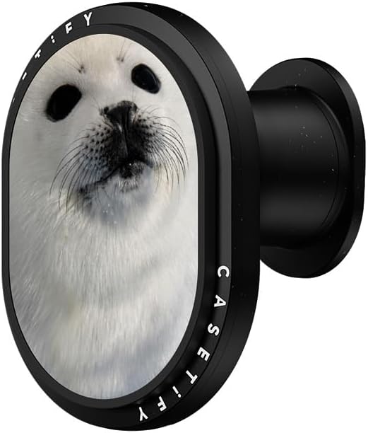 CASTETiFY Wireless Car Charger - Seal
