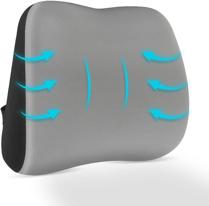 Lumbar Support Pillow for Office Chair, Memory Foam Lumbar Pillow for Lower Back Pain Relief (xiaoyaokaoGrey)