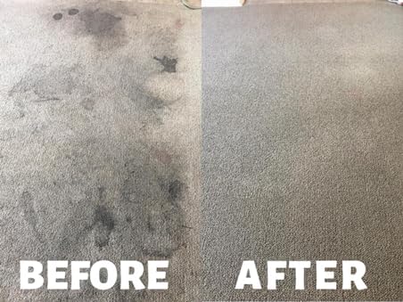 Carpet Cleaner Shampoo - Deep Cleaning for Carpets, Mats, Seats, Upholstery - Machine or Hand Use - Safe and Gentle Formula - Fresh Scent - 16oz