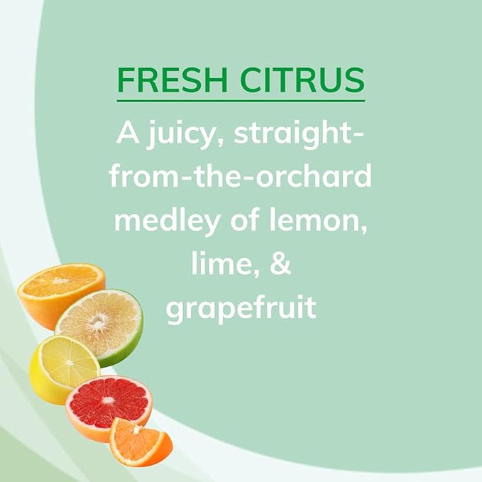 Citrus Magic Odor Absorbing Solid Air Freshener, Fresh Citrus, 8-Ounce, Pack of 6