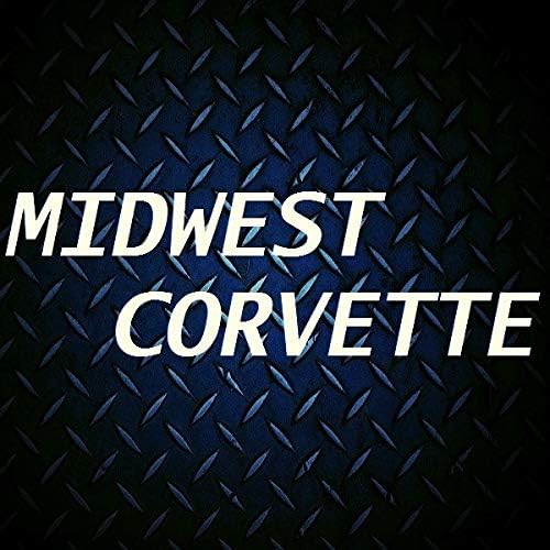 C3 Corvette T-Top Roof Panel Protection Storage Cover Bags Fits: 68 Through 82 Corvette Coupes