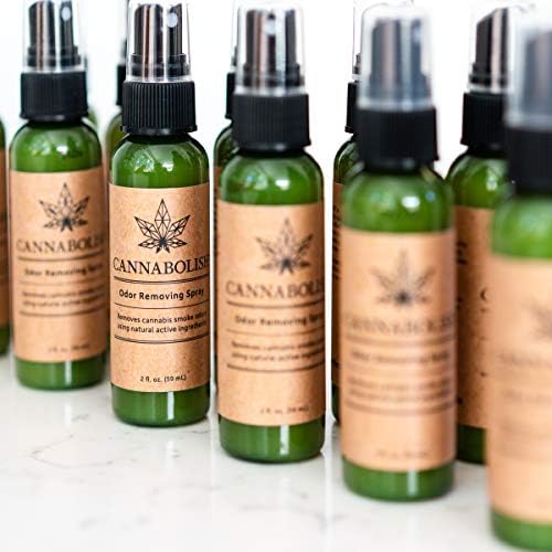 Cannabolish Wintergreen Smoke Odor Removing Spray and Air Freshener, 2 fl. oz. Travel Size