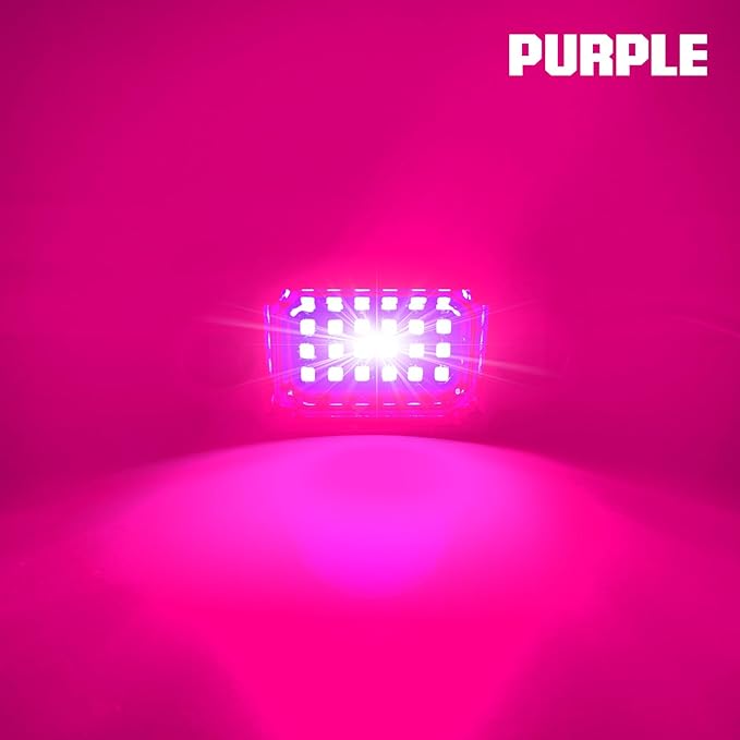 6Pods LED Rock Lights Purple 24 LEDs Chips Neon Trail Rig Lamp Underglow Light for Cars Trucks SUV ATV UTV