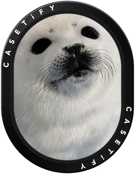 CASTETiFY Wireless Car Charger - Seal