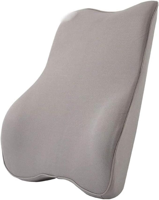 Memory Foam Lumbar Support Pillow, Breathable Mesh Back Cushion with Ergonomic Designed for Low Back Pain Relief, Orthopedic Backrest for Car Seat (Color : E)