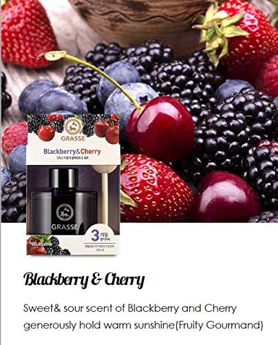 Bullsone Grasse Diffuser, Natural Car Air Fresheners, Luxury Car Perfume - Black Berry & Cherry Scent (2 Pack)