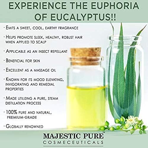 Majestic Pure Essential Oil with Glass Dropper - 100% Pure and Natural - Essential Oils for Diffuser, Aromatherapy, Soap and Candle Making, Eucalyptus Essential Oil, Eucalyptus Oil, 1 Fl Oz