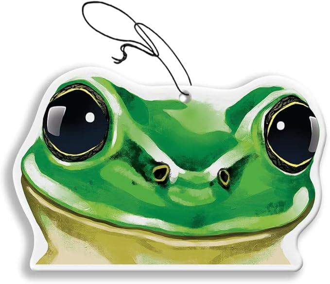 WIRESTER Hanging Air Freshener for Car, Home, Bathroom, Office, Decorative Charm Ornaments, Green Frog