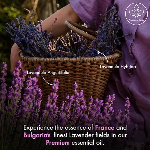 Majestic Pure Essential Oil with Glass Dropper - 100% Pure and Natural - Essential Oils for Diffuser, Aromatherapy, Soap and Candle Making, Lavender Essential Oil, Lavender Oil, 4 Fl Oz