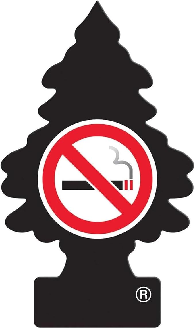 Little Trees Car Air Freshener 6-Pack (NO Smoking)