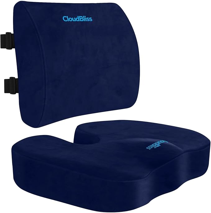 CloudBliss Lumbar Support Pillow & Seat Cushion Set for Office Chair, Desk Chair, Wheelchair & Car – Memory Foam Back Support, Ergonomic Chair Cushions, Sciatica Pain Relief, Home Essentials, Blue