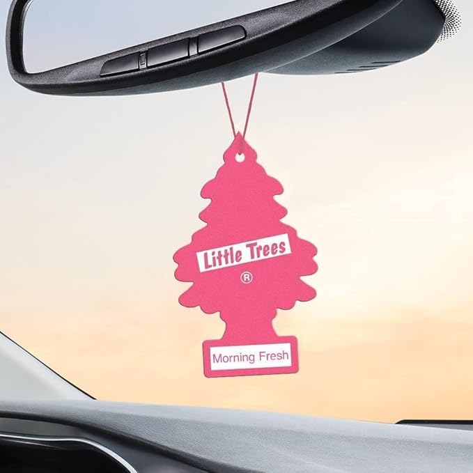 LITTLE TREES Car Air Freshener | Hanging Paper Tree for Home or Car | Morning Fresh | Pack of 3
