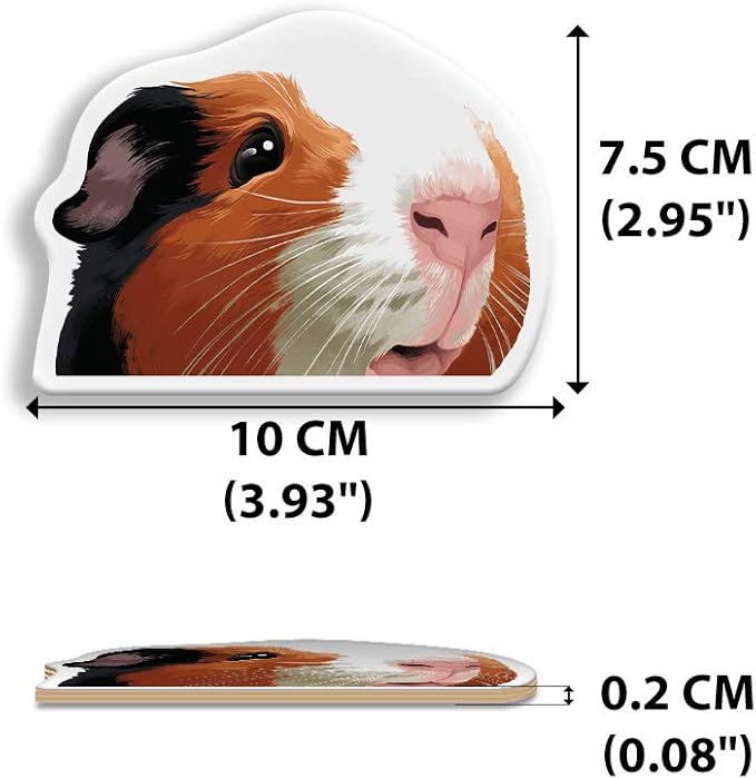 WIRESTER Hanging Air Freshener for Car, Home, Bathroom, Office, Decorative Charm Ornaments, Black White Brown Guinea Pig