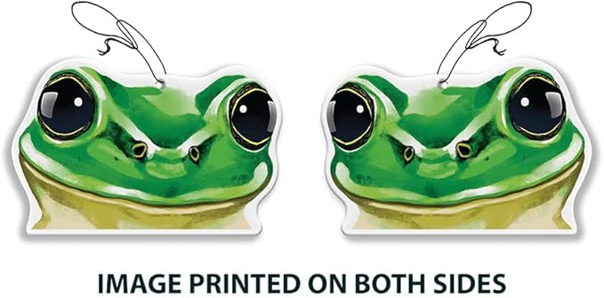 WIRESTER Hanging Air Freshener for Car, Home, Bathroom, Office, Decorative Charm Ornaments, Green Frog