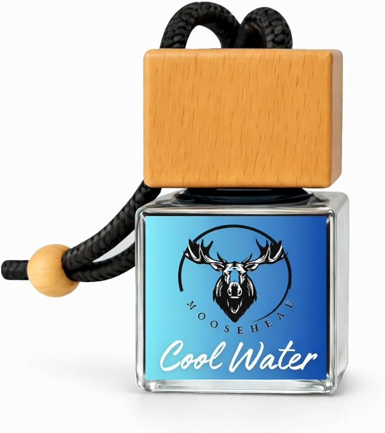 Leather Hanging Car Air Freshener – Premium Auto Perfume & Car Diffuser | Rich & Masculine Scent | Long-Lasting Up to 120 Days | Odor Eliminating (cool water)