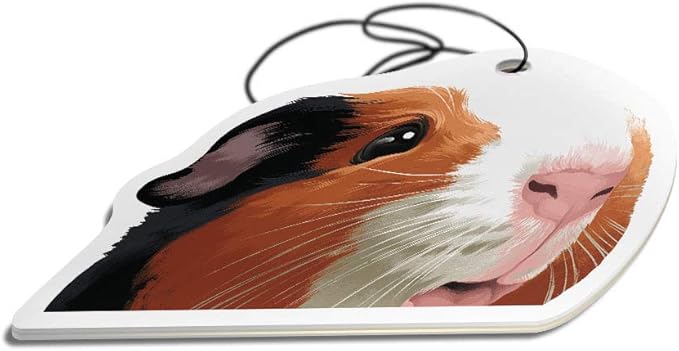 WIRESTER Hanging Air Freshener for Car, Home, Bathroom, Office, Decorative Charm Ornaments, Black White Brown Guinea Pig