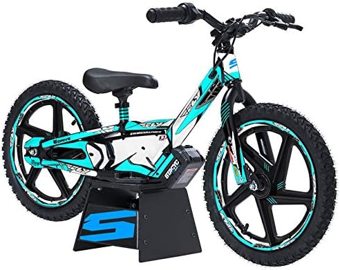 12eDRIVE Fly Racing Teal Senge Graphics Kit Compatible with Stacyc