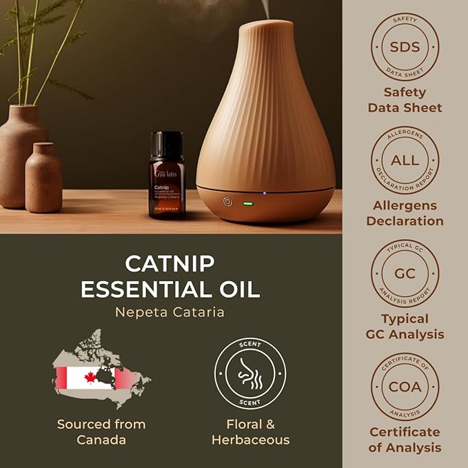 100% Pure Catnip Essential Oil - 0.34 Fl Oz - Catnip Oil for Hair, Skin, Diffuser, Aromatherapy & DIY Candle Making Scent