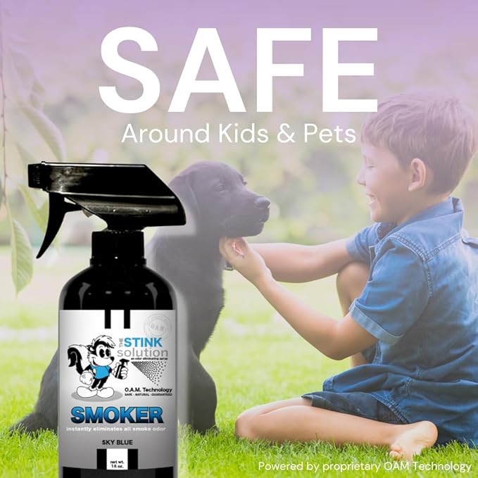 The Stink Solution Smoke Odor Eliminator Spray - Completely Remove Smoke Smell From House, Car, Clothes, Hands, Hair, & More - Best Odor Eliminator For Smoke - Bamboo Teak Fragrance - 2 16 oz Bottles