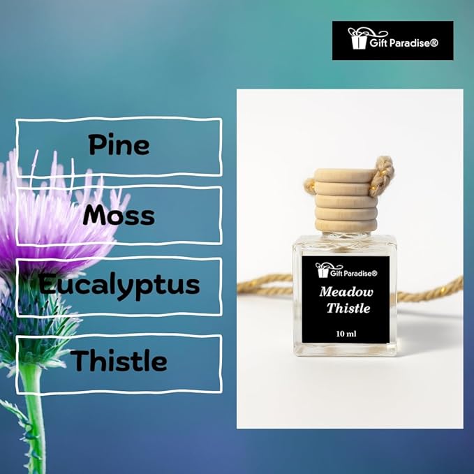 Gift Paradise® Meadow Thistle Hanging Car Air Freshener Set of 3 (10 ml Each) – Long-Lasting Fresh Floral Meadow Fragrance Diffuser for Car, Home & Office | Velvet Gift Bag Included | Holiday Gift Set
