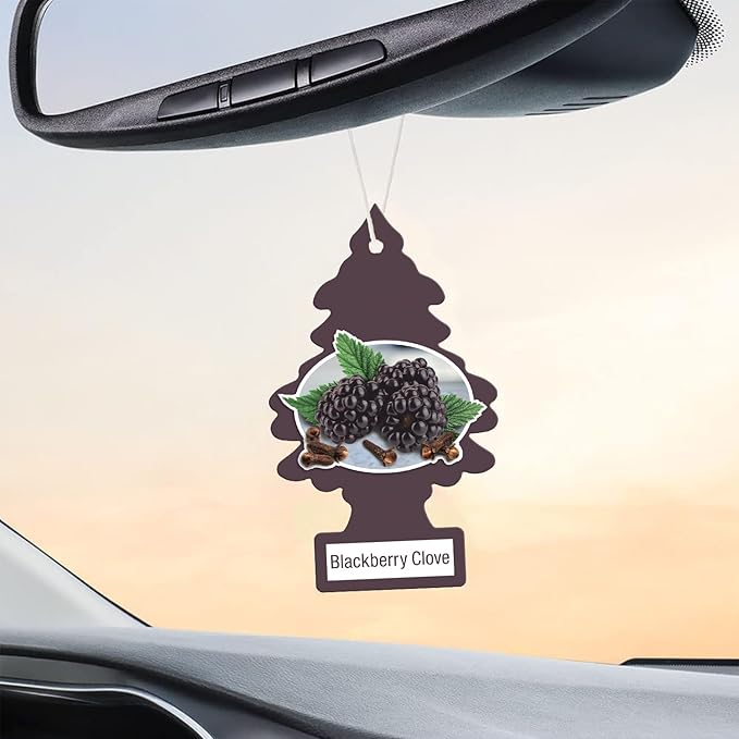 Little Trees DAS-17343 Car Air Freshener | Hanging Paper Tree for Home or Car | Blackberry Clove