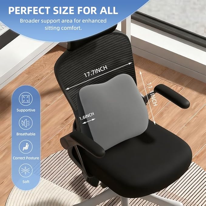 Lumbar Support Pillow for Office Chair, Memory Foam Lumbar Pillow for Lower Back Pain Relief (xiaoyaokaoGrey)
