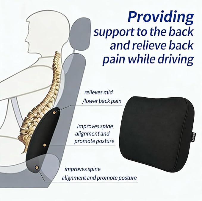 Big Hippo Lumbar Support Pillow for Car & Office Chair - Memory Foam Back Cushion for Lower Back Pain Relief, Ergonomic Back Support with Breathable Cover for Home, Truck, Wheelchair