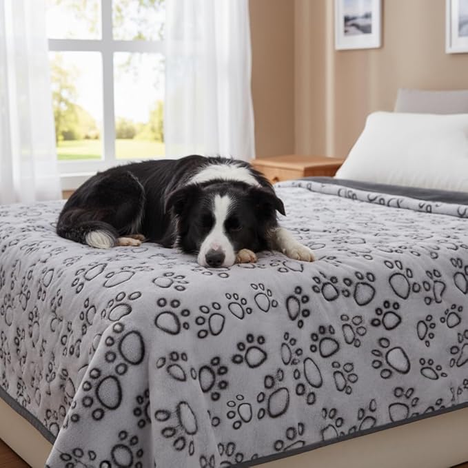 Stuffed Premium Soft Dog Blankets for Large Dogs, Large Cat Blanket Washable for Human Bed Couch Protection Cover, Dog Essentials for Dog, 66 * 82 inches, Grey