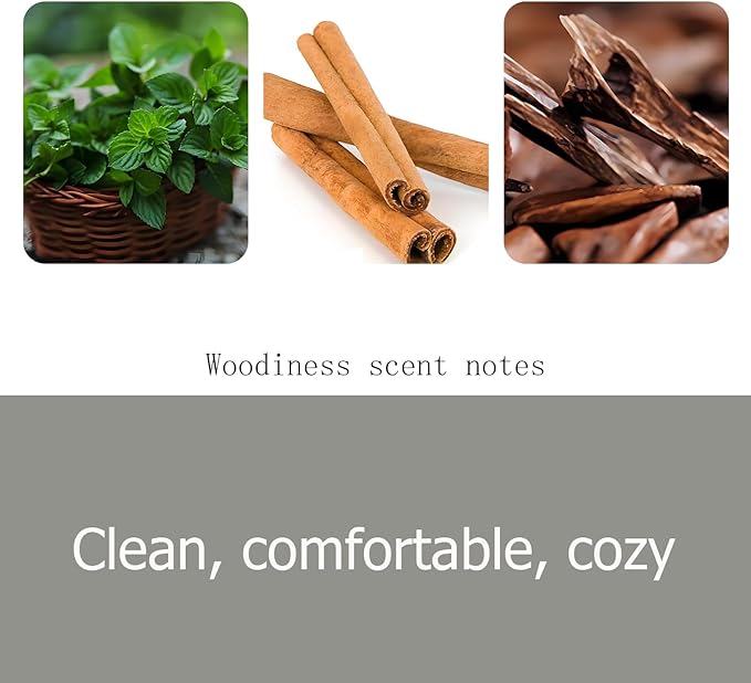 Stone Car Air Freshener - Car Odor Eliminator - Long Lasting Scent - Auto Accessories - NO CLIP INCLUDED (Woodiness/3 Pack Refill)