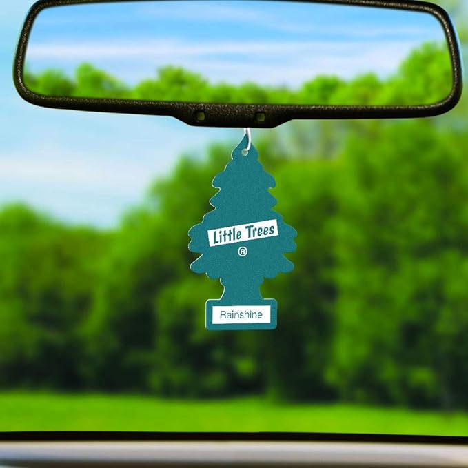 LITTLE TREES U3S-32049: Rainshine,Multi,3 Count (Pack of 1)