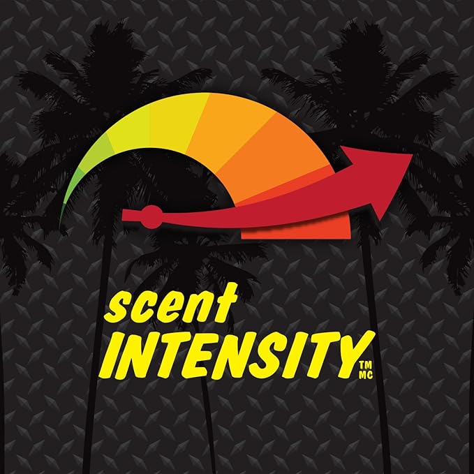 California Scents Palms Paper Tropical Colada Air Freshener