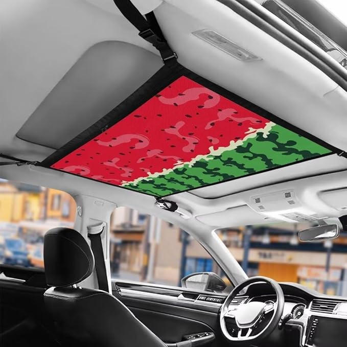 Watermelon Pattern Car Roof Storage Bag Car Storage Bag Organizer Premium Car Seat Organizer Can Hold Mobile Phone, Wallet, Glasses