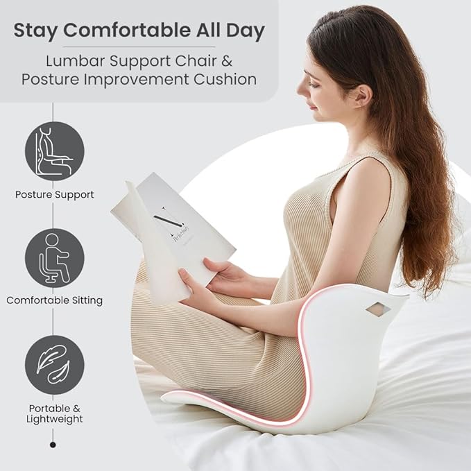 Ergonomic Lumbar Support Cushion, Blue, 44.5mm x 410mm x 340mm, Standard Size, for Shoulder and Back Posture, 110-265 lbs Capacity