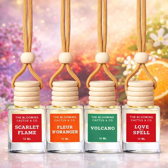 4 Pack Air fresheners | Long lasting car air fresheners, Hand-made in USA | Small room diffuser | Small Business Woman Owned. (10 ml Delightful & Elegant Pack Mix)