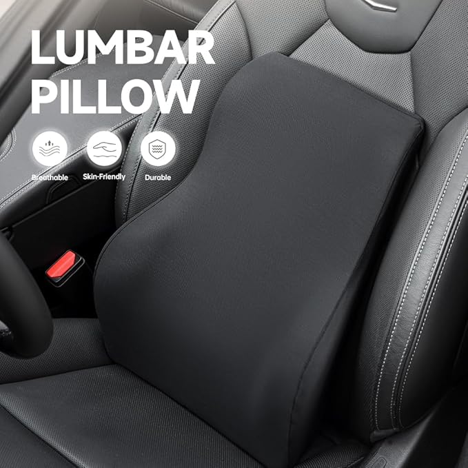 Memory Foam Lumbar Support Pillow for Car, Highly Supportive Back Cushion for Driving, Wheelchair, Office, Home and TravelMemory Foam Lower Back Cushion for Low Back Pain Relief