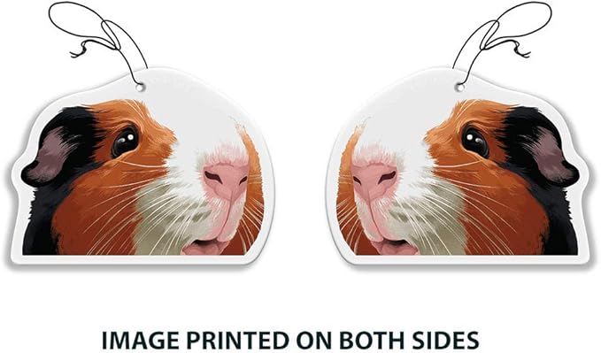 WIRESTER Hanging Air Freshener for Car, Home, Bathroom, Office, Decorative Charm Ornaments, Black White Brown Guinea Pig