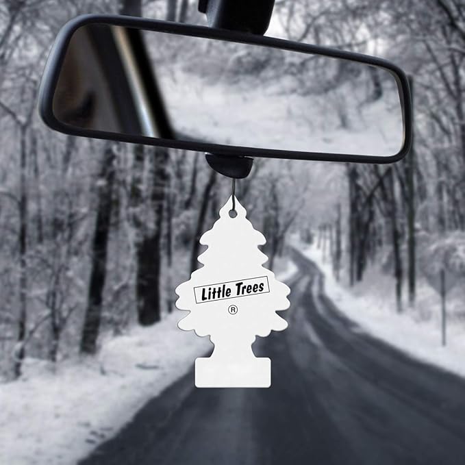 LITTLE TREES Car Air Freshener | Hanging Paper Tree for Home or Car | Coconut | 24 Pack