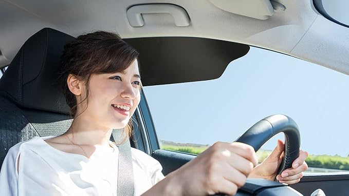 Blackout Sun Visor Sunshade Extender for Car Window Windshield Sun Shade Anti-Glare Car Sun Visor Protects from Sun Glare, Snow Blindness, UV Rays, Universal for Cars, SUVs 1 Pack