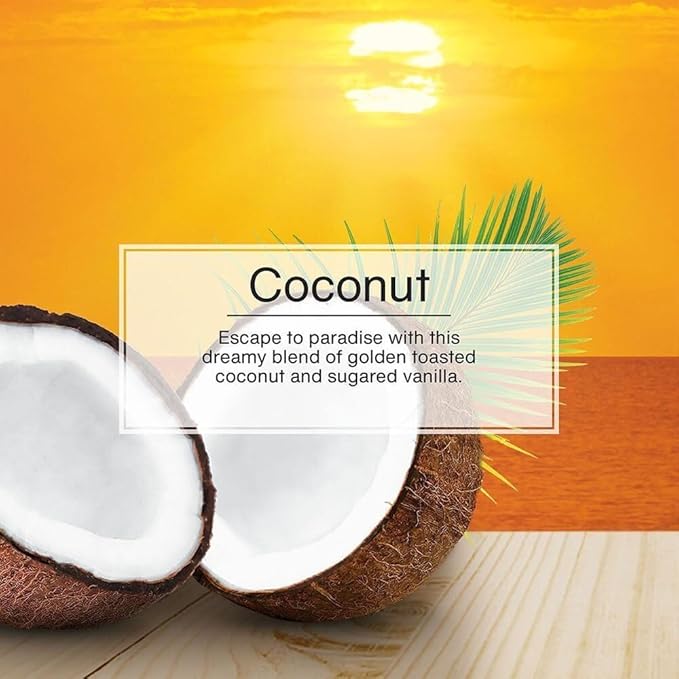 LITTLE TREES Car Air Freshener | Hanging Paper Tree for Home or Car | Coconut | 24 Pack