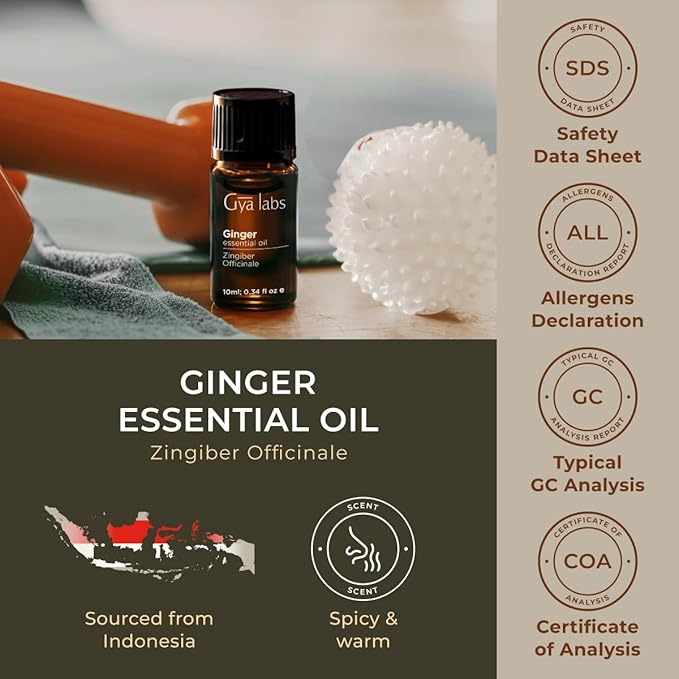 100% Pure Ginger Essential Oil - 0.34 Fl Oz - Ginger Oil for Hair, Skin, Diffuser, Aromatherapy & DIY Candle Making Scent