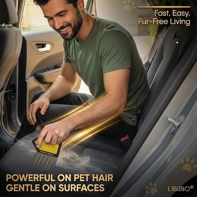 [2 Pack] Mini Pet Hair Detailer – Dog & Cat Hair Remover for Car Carpet, Interior Detailing, Couch & Furniture – Reusable Embedded Fur Removal Tool – Premium Gift Box